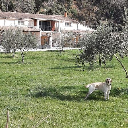 Le Mas Des Oliviers Villa Puget Dış mekan fotoğraf
