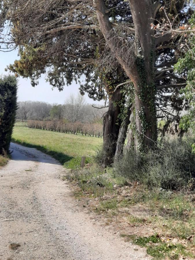 Le Mas Des Oliviers Villa Puget Dış mekan fotoğraf