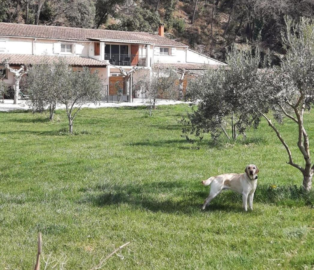Le Mas Des Oliviers Villa Puget Dış mekan fotoğraf